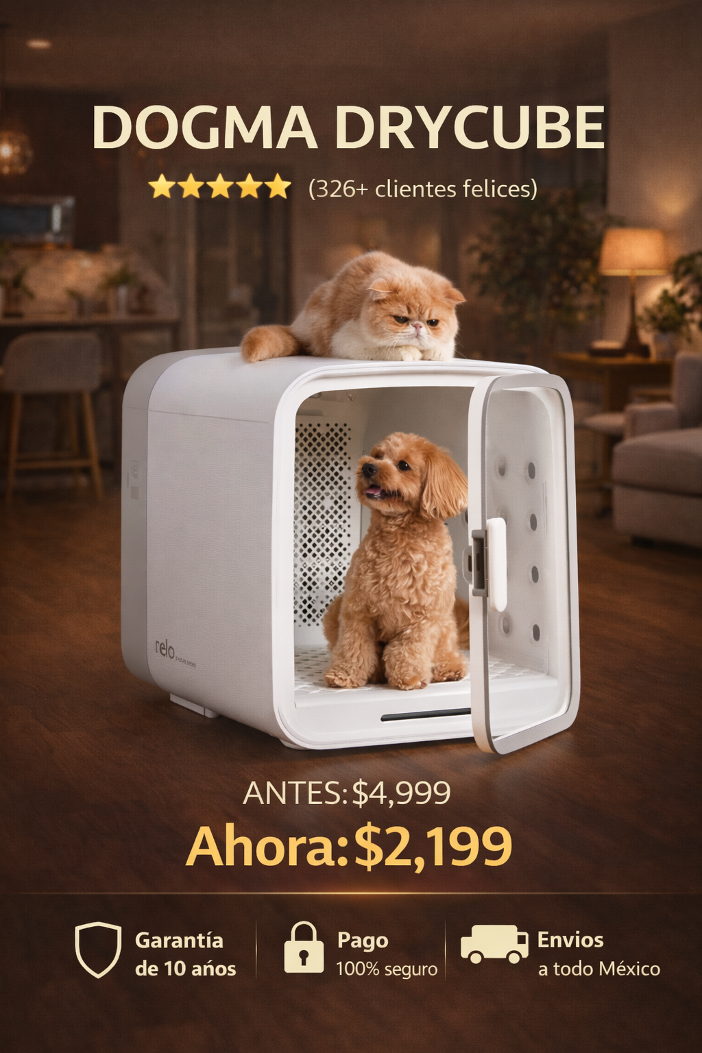 DOGMA DryCube — la cabina que seca a tu perro en minutos