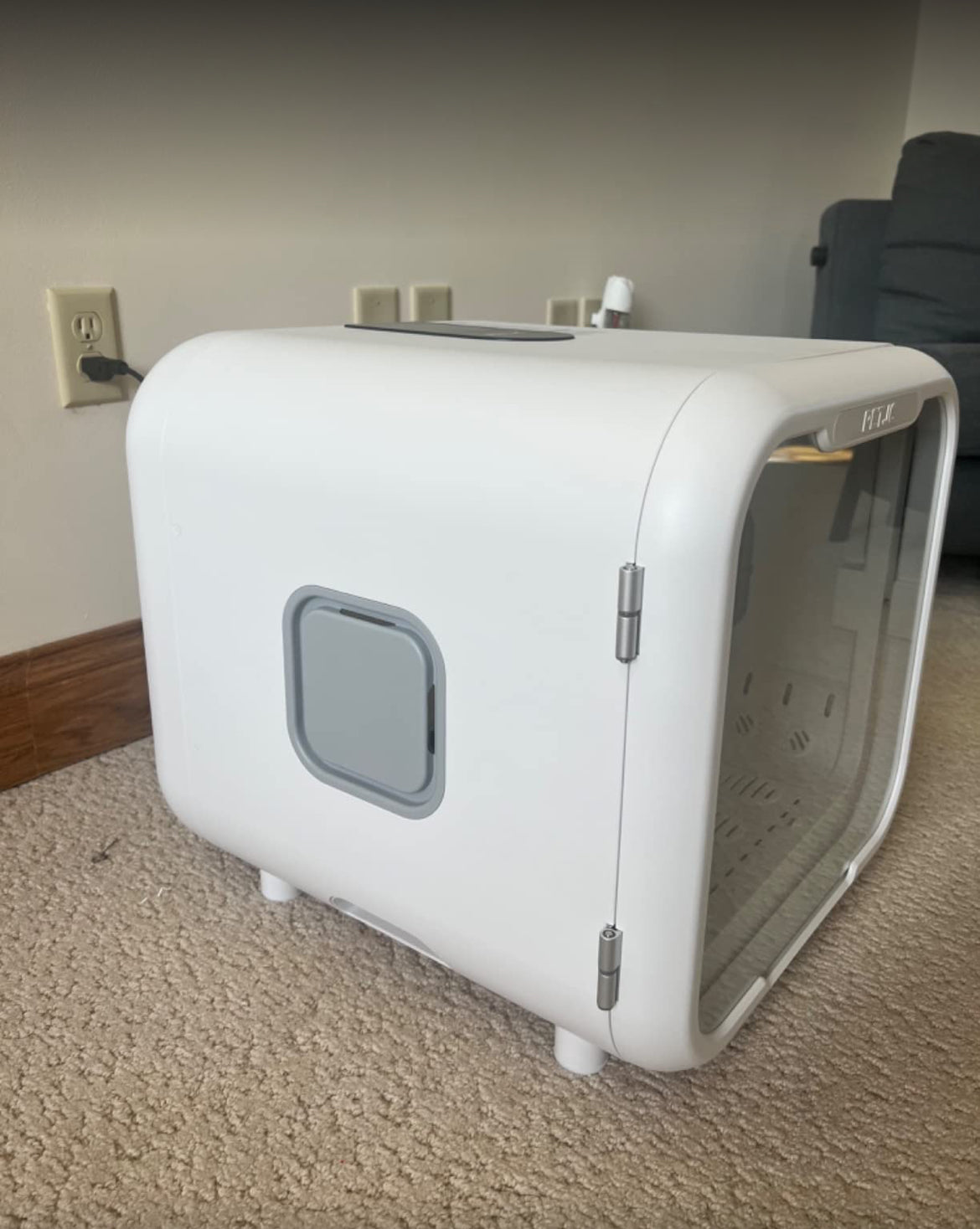 DOGMA DryCube — la cabina que seca a tu perro en minutos