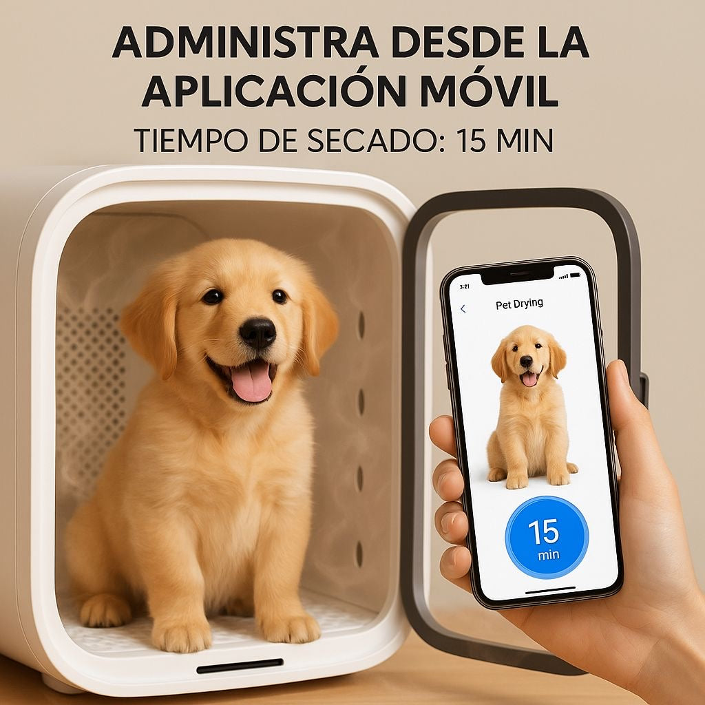DOGMA DryCube — la cabina que seca a tu perro en minutos