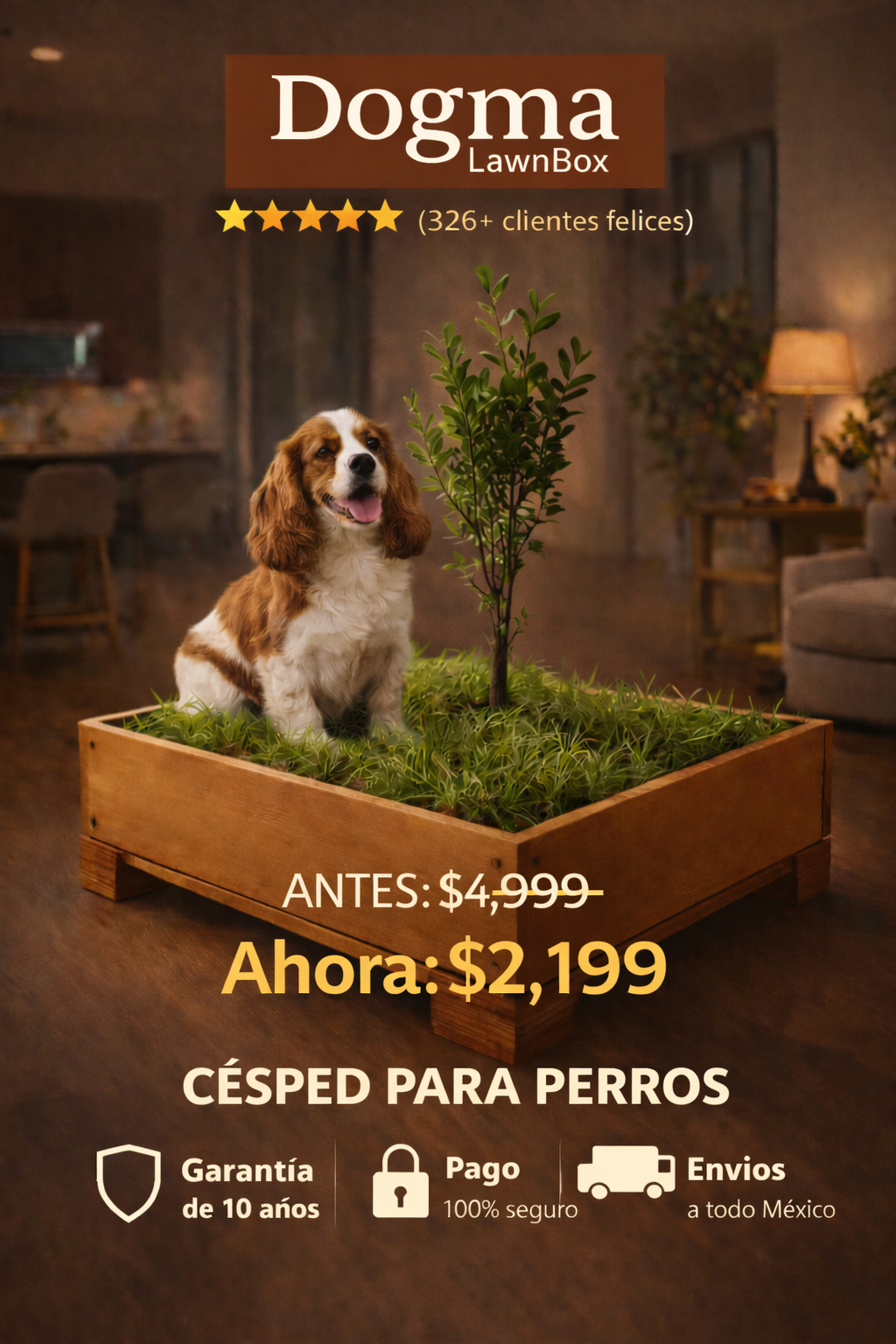 DOGMA LawnBox mantiene tu hogar limpio y sin olores.