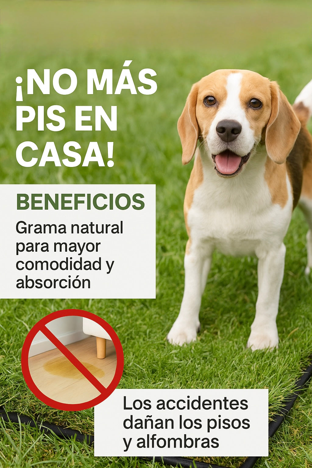 DOGMA LawnBox mantiene tu hogar limpio y sin olores.