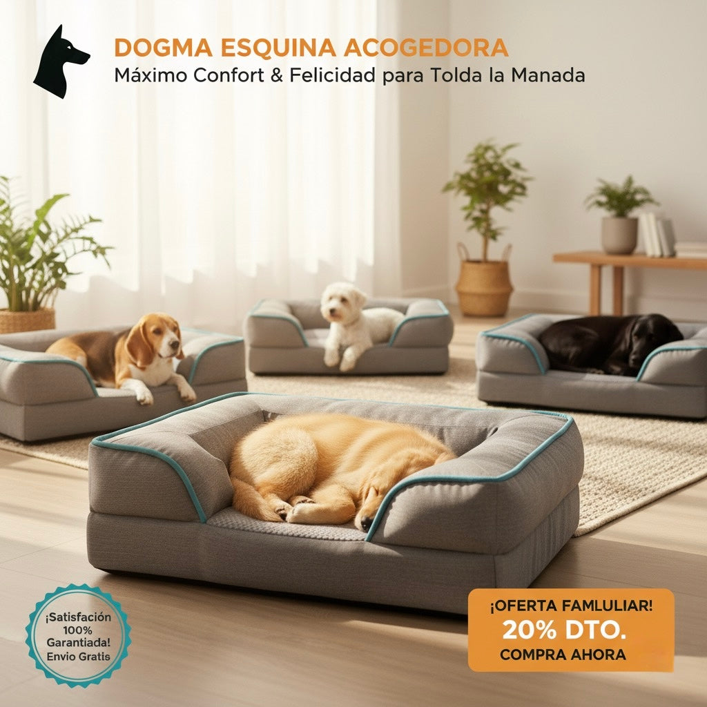 DOGMA CloudBed la cama ortopédica que cuida sus articulaciones